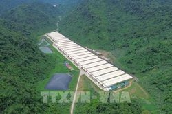 Thanh Hóa yêu cầu điều tra toàn diện vụ tai nạn lao động làm 5 người tử vong