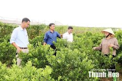 Đảng bộ xã Định Hòa học và làm theo Bác