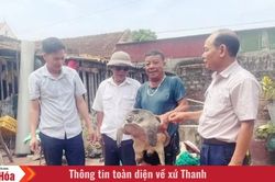 Ứng dụng khoa học - kỹ thuật làm giàu từ nuôi ba ba