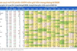 Các 'cá mập' đẩy mạnh giải ngân trong tháng 6, tiền mặt giảm đáng kể