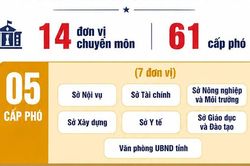 [Infographic] An Giang quy định số lượng cấp phó của các cơ quan thuộc UBND tỉnh