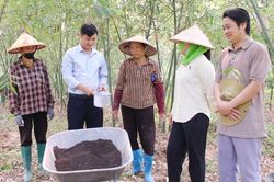 Ứng dụng hệ thống quản lý sức khỏe cây trồng tổng hợp: Đất khỏe, nuôi cây tốt