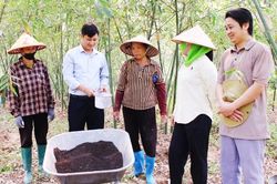 Ứng dụng hệ thống quản lý sức khỏe cây trồng tổng hợp: Đất khỏe, nuôi cây tốt