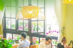 Tĩnh lặng trong lòng phố