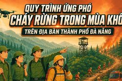 Quy trình ứng phó cháy rừng trong mùa khô trên địa bàn thành phố Đà Nẵng