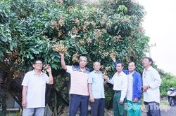 Canh Tân Hội quán: 10 năm thay đổi tư duy sản xuất