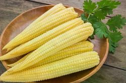 Ăn bắp non thường xuyên có lợi gì cho sức khỏe?