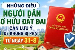 Infographic Những điều người dân sở hữu đất đai cần lưu ý để không bị phạt từ ngày 31-8