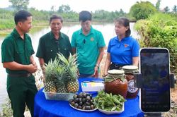 Hỗ trợ nông dân đưa nông sản lên nền tảng số