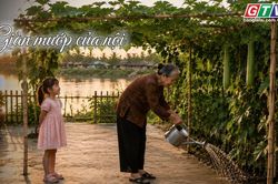 Ngăn ký ức: Giàn mướp của nội