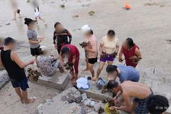 Truy tìm danh tính, mời làm việc nhóm người dân có dấu hiệu tác động đến san hô khu vực biển Hòn Chồng - Đặng Tất