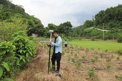 Bát Xát tăng cường kiểm tra, ngăn chặn hành vi trồng cây nhằm trục lợi chính sách bồi thường