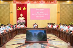 Ban Thường vụ Tỉnh ủy cho ý kiến nhiều nội dung quan trọng thuộc thẩm quyền