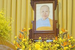 Tiểu sử Ni trưởng Thích nữ Như Tịnh (1942-2026)