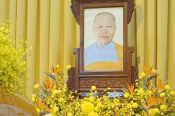 Tiểu sử Ni trưởng Thích nữ Như Tịnh (1942-2026)