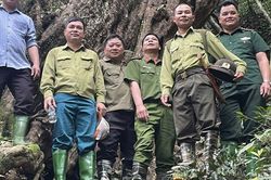 Tuyên Quang: Những bước chân tuần rừng giữ màu xanh đại ngàn Yên Hoa