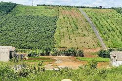 Lâm Đồng thúc đẩy ESG: Chìa khóa vàng nâng tầm cạnh tranh cho ngành cà phê
