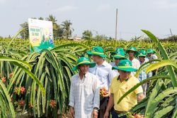 Điểm tựa cho mùa vụ