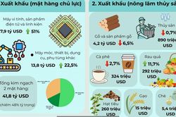 Xuất nhập khẩu Việt Nam - Mỹ nửa đầu năm 2026