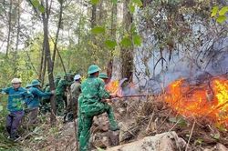 Liên tiếp xảy ra các vụ cháy rừng do thời tiết nắng nóng