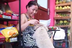 Phường Hai B&agrave; Trưng kiểm so&aacute;t bệnh dại tr&ecirc;n vật nu&ocirc;i