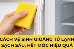 Tủ lạnh có mùi hôi, hao điện bất thường? Thủ phạm có thể nằm ở gioăng cao su ít ai để ý