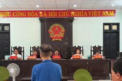 Lừa bán đất thừa kế chưa được chia, người đàn ông lĩnh 8 năm tù