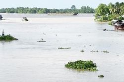 Hai anh em tắm sông, người em bị nước cuốn trôi mất tích