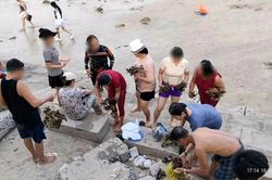 Dù có biển cấm, nhóm du khách vẫn bẻ, nhặt san hô ở Hòn Chồng mang về
