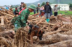 'Chiến binh 4 chân' từng tìm kiếm người ở Làng Nủ, nay vào Mường Than cứu nạn