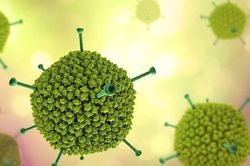 Biểu hiện khi trẻ mắc Adenovirus: Cha mẹ cần nhận biết sớm để phòng biến chứng