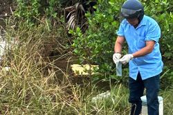 Nguyên nhân cá chết bất thường trên các sông ở Quảng Trị