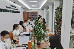Chuyên gia: Giữ nguyên mô hình Văn phòng đăng ký đất đai và chi nhánh là hợp lý, sát thực tiễn quản lý