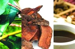 Hà thủ ô vẫn có tác hại nếu dùng sai cách