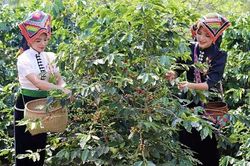 Sơn La thẩm định kết quả xác định thôn vùng đồng bào dân tộc thiểu số và miền núi