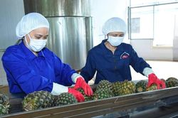 Duy trì thị trường nông sản Trung Đông