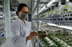 Điều kiện thành lập khu nông nghiệp ứng dụng công nghệ cao