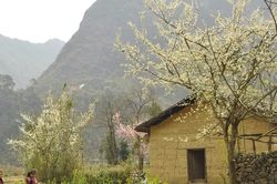 Di sản tạo dựng thương hiệu địa phương