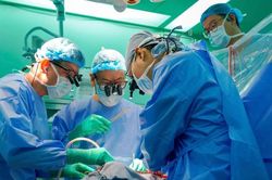 Bệnh viện Đại học Y Dược Thành phố Hồ Chí Minh thực hiện ca ghép đa tạng nối dài sự sống cho nhiều người