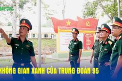 Không gian xanh của Trung đoàn 95
