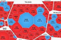 Chứng khoán lao dốc, cổ phiếu 'nằm sàn'