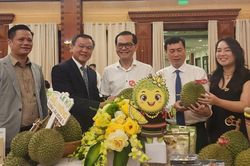 Lễ hội Sầu riêng Đắk Lắk năm 2026: Tăng kết nối, mở rộng thị trường, thúc đẩy xuất khẩu