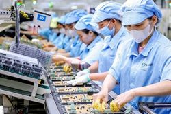 'Cây cầu' mới đưa Việt Nam tới tương lai