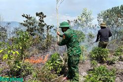 Thành phố Huế: Kịp thời dập tắt hai vụ cháy rừng tại xã A Lưới 4
