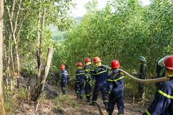 Liên tiếp xảy ra cháy rừng tại nhiều phường, xã ở Huế