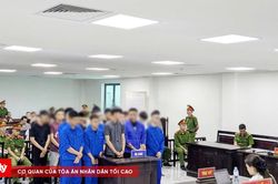 Cuộc gọi 'cầu cứu' trong đêm đưa hai thế hệ vào vòng lao lý