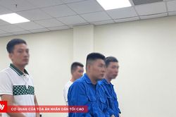 Thuê ô tô rồi làm giả giấy tờ đem cầm cố, nhóm bị cáo lĩnh án