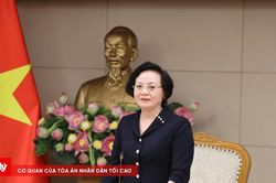 Chủ tịch UBND cấp tỉnh, cấp x&atilde; chịu tr&aacute;ch nhiệm ch&iacute;nh về an to&agrave;n thực phẩm