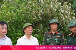 Chủ tịch UBND tỉnh Phan Thi&ecirc;n Định chỉ đạo chữa ch&aacute;y rừng tại x&atilde; Trường Lưu