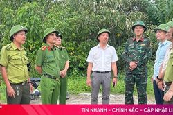 Chủ tịch UBND tỉnh trực tiếp chỉ đạo chữa cháy rừng tại Trường Lưu